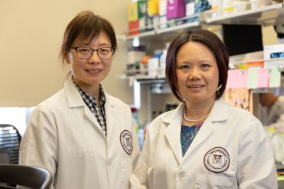 Photo of Dr. Ran Lu, PhD, and Dr. Xin Luo, PhD, of the Xin Luo Lab at the Virginia Maryland College of Veterinary Medicine.