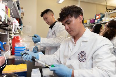 (From left) Noah Oakland and Tian Xu of the Xin Luo Lab at the Virginia Maryland College of Veterinary Medicine.