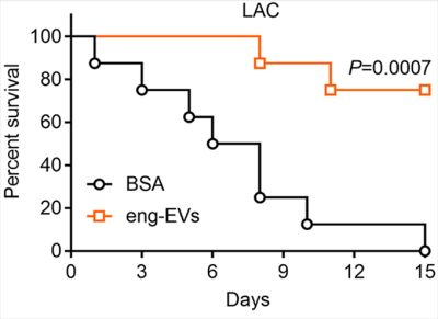 Graphic from Wang et al., Nat Commun 2018.