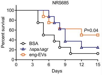 Graphic from Wang et al., Nat Commun 2018.
