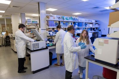 Faculty, Staff, and Students working in the Collaborative Multidisciplinary Research Laboratory.