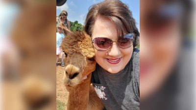 Person taking a selfie with a llama.