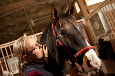 Person in a barn with a brown horse.