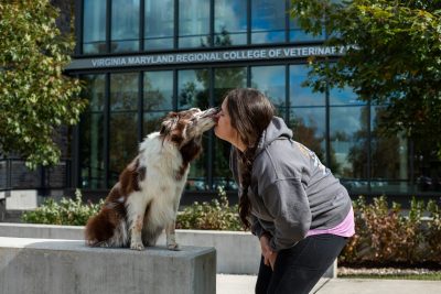 Person and their dog giving each other a smooch.