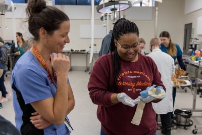 Two veterinary professionals looking at a cast in a lab.