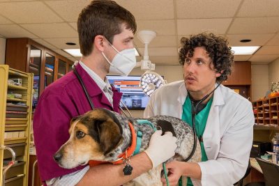 Timothy Bolton examining a dog with a DVM student.