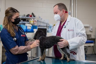 Michael Nappier and student examining a dog at VMCVM.