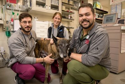 Thor Sparks and his care team pose for a photo at the VTH.