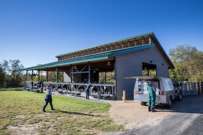 The Animal Physiology and Reproduction Building at the Veterinary College.