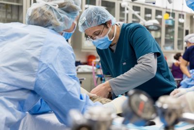 Assessing Blood Pressure Monitoring in Dogs Undergoing Anesthesia