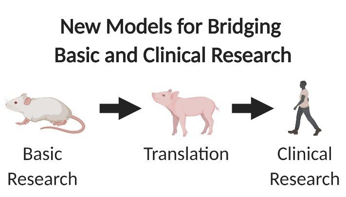 Bridging basic and clinical research graphic