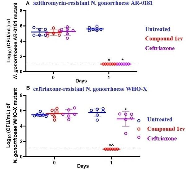 Neisseria gonorrhoeae 2 Lab experiments results charts with data