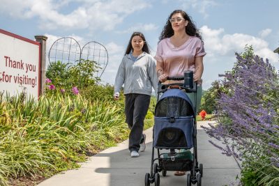 Two people pushing a stroller with a cat inside.